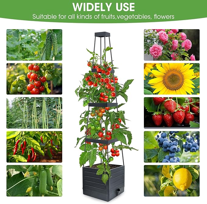 Raised Garden Bed Planter Box with Trellis, 58” Tomato Cage Planter Raised Garden Bed with Trellis for Climbing Vegetables Plants Tomato Cage w/Self-Watering, Indoor Outdoor Use (2)