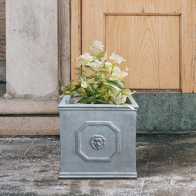 Kante Square Lion Head Concrete Planter, Classic English Style Plant Pot with Drainage Hole and Rubber Plug for Indoor Outdoor Garden Patio Home, 10.2"x10.2"x 10.2" Antique Gray