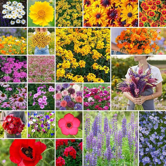 Eden Brothers Northeast Wildflower Mixed Seeds for Planting, 25 lb, 12,000,000+ Seeds with Cosmos, Candytuft, Shasta Daisy, Attracts Pollinators, Plant in Spring or Fall, Zones 3, 4, 5, 6, 7, 8, 9, 10