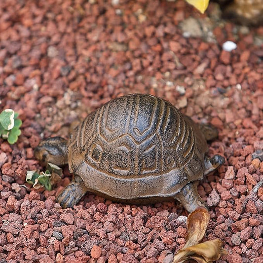 Key Hider Outdoor Turtle Cast Iron Hidden Spare Key Holder Outside Garden Indoor Decoration