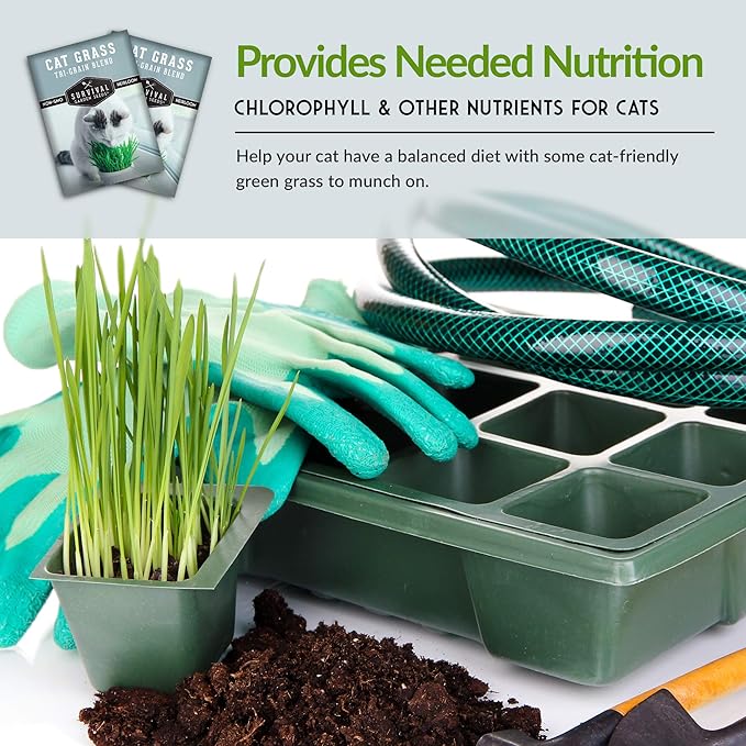 Cat Grass Seed for Planting - 5 Packets with Instructions to Plant & Grow Greens for Your Pet Indoors or Outdoors in a Container or Garden - Non-GMO Heirloom Variety - Survival Garden Seeds