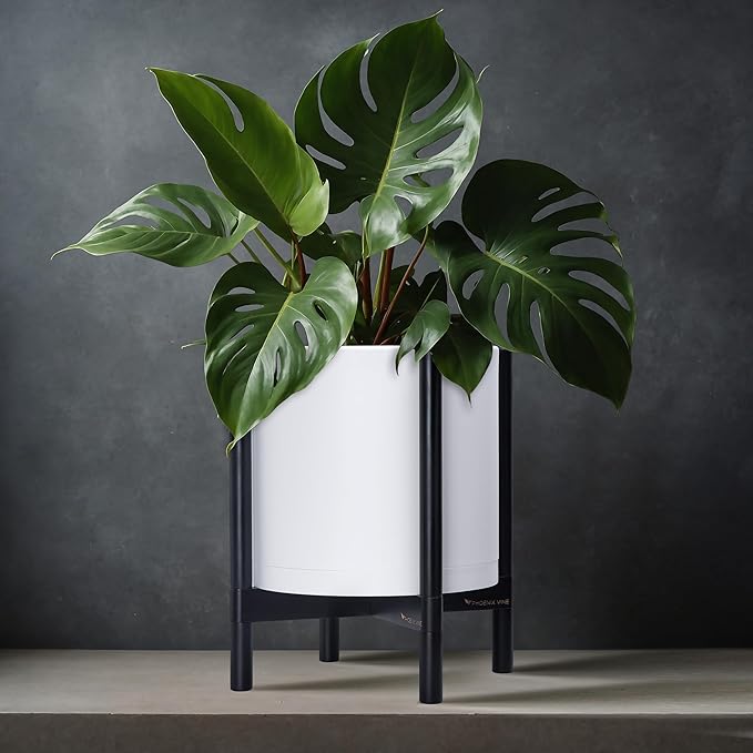 D'vine Dev Planter Pot with Stand - 12 Inch Plastic Cylinder Flower Pot with Wood Planter Holder for Indoor, Matte White Pot + Ebony Stand, 55-C-H-1