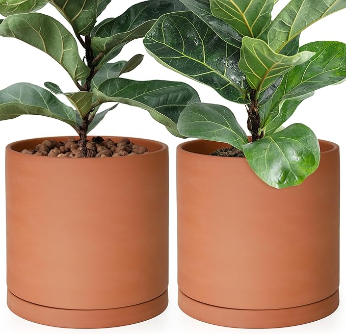 D'vine Dev Large 10 Inch Terracotta Plant Pot with Drainage Hole and Saucer, Round Cylinder Planter Pot for Indoor Plants, Set of 2, 40-X-B-5