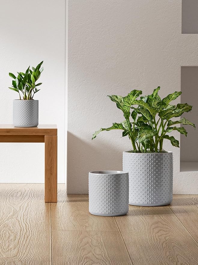 LE TAUCI Ceramic Pots for Plants, 6+8+10 Inch Planters for Indoor Plants, Plant Pots Indoor for Home and Office, Mid-Modern Century Flower Pots with Drainage Hole and Silicone Plug, Glaze Star Gray