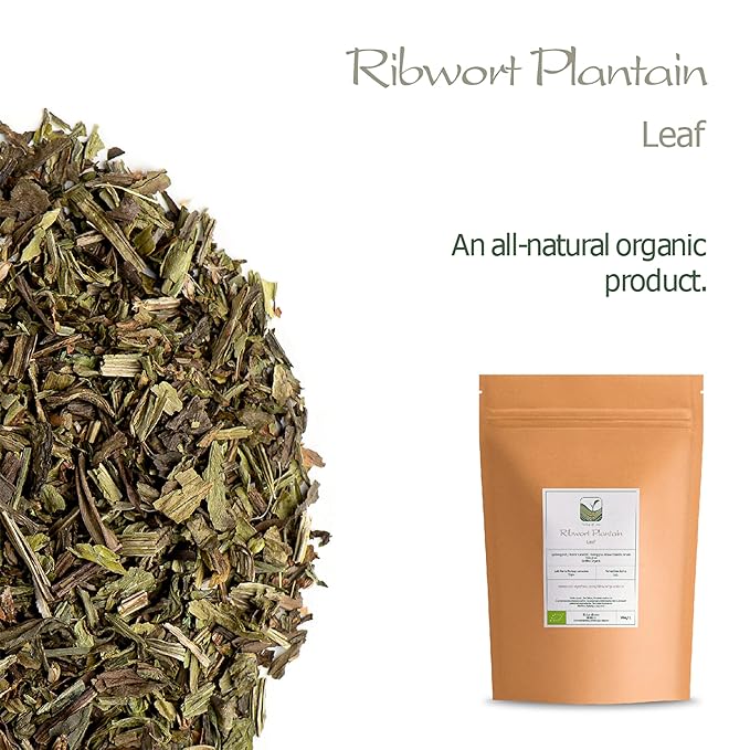 Plantain Leaf Tea Organic Herb