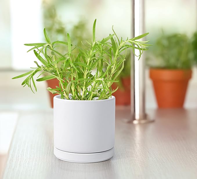 D'vine Dev Ceramic Planter Pot with Drainage Hole and Saucer, Indoor Cylinder Round Flower Pot, 4.6 Inch, White, 94-O-B-1