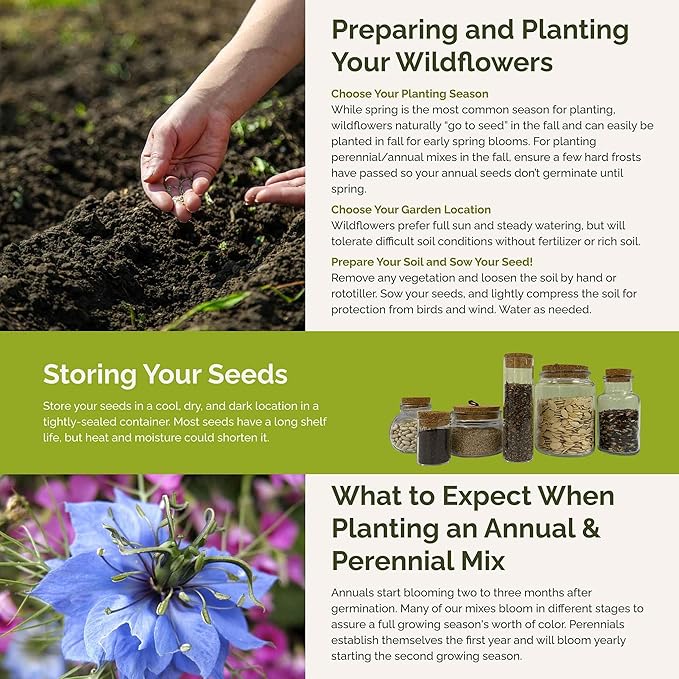 Eden Brothers Blue Ribbon Flower Mixed Seeds for Planting, 5 lb, 2,400,000+ Seeds with Blue Bell, Cornflower Blue, Chicory, Attracts Pollinators, Plant in Spring or Fall, Zones 3, 4, 5, 6, 7, 8, 9, 10