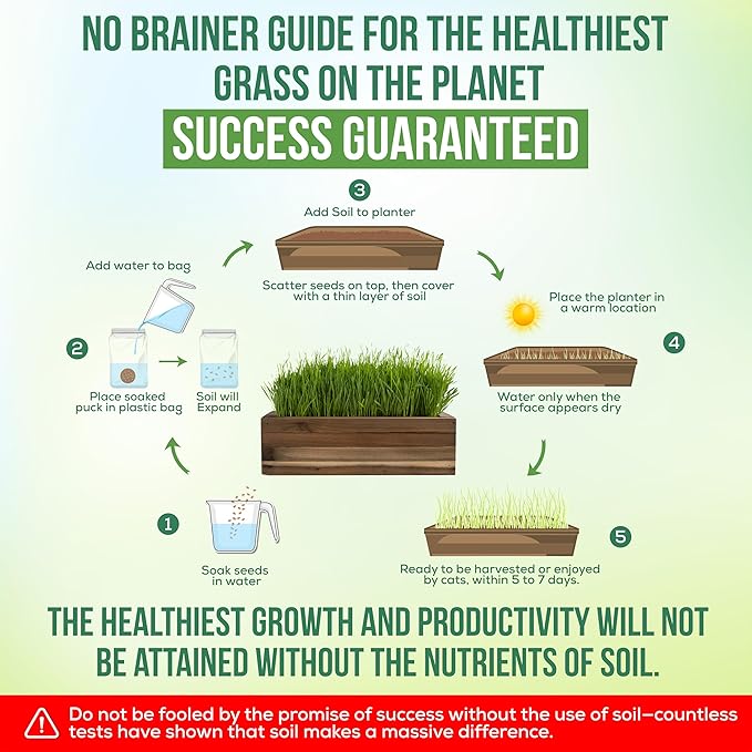 Cali Kiwi Organic Cat Grass Kit - Cat Grass for Indoor Cats with Toy – Natural Hairball Remedy, Supports Digestion & Health, Single Planter & Great Value (Sea Foam)