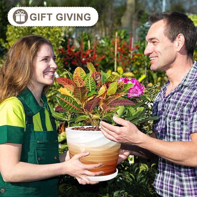 8 Inch Plant Pot, Ceramic Planter with Drainage and Saucer, Ceramic Pots for Plants, Indoor Plant pots,Ceramic Flower pots，Modern Planter(Khaki + White)