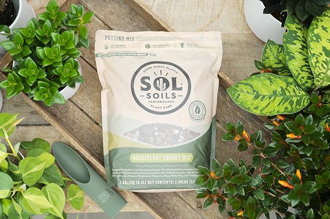 Sol Soils Chunky Houseplant Mix - Fast Draining Soil for Indoor Plants with Coco Coir Chips, Perlite, & Pumice, 1 Gallon
