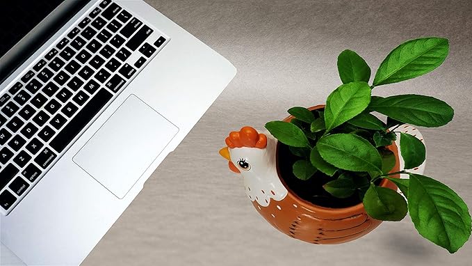 Chicken Planter - Rooster Utensil Holder Party Accessories - Flower Succulent Pot - Indoor Outdoor Garden Backyard Patio Chicken Theme Ceramic