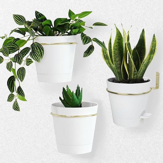 Wall Planters for Indoor Plants 3 Pack 6 Inch Flower Pot Holders Metal Ring with Self Watering Pots Wall Hanging Planters Gold-White