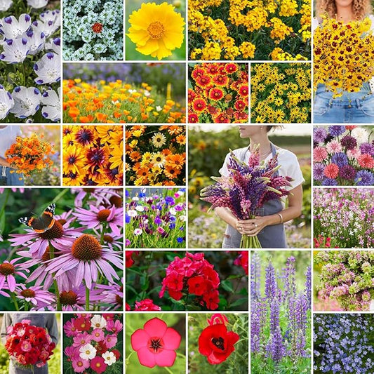 Eden Brothers Southeast Wildflower Mixed Seeds for Planting, 10 lb, 4,800,000+ Seeds with Cornflower, Blanket Flower | Attracts Pollinators, Plant in Spring or Fall, Zones 3, 4, 5, 6, 7, 8, 9, 10