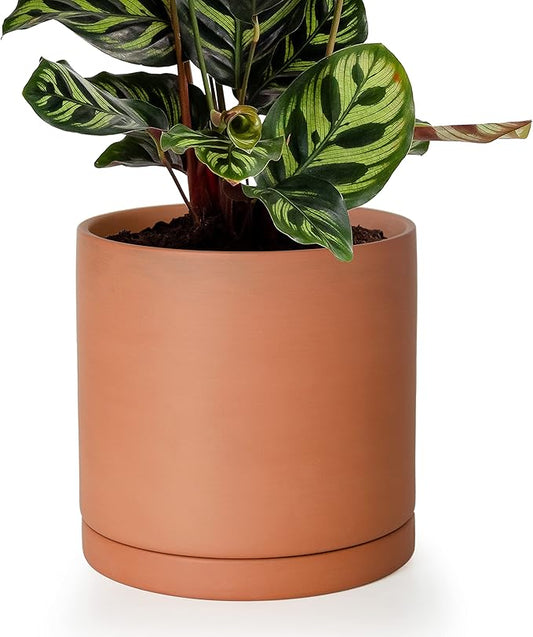 D'vine Dev Medium 8 Inch Terracotta Plant Pot with Drainage Hole and Saucer, Round Cylinder Planter Pot for Indoor Plants, 40-X-A-4