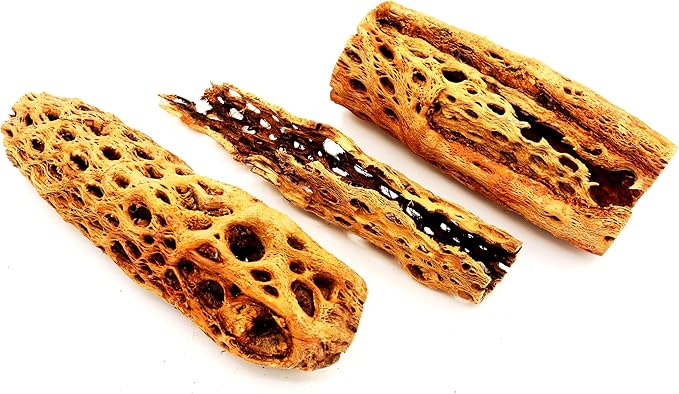 Natural Cholla Wood Chunk Large Air Plant Display Holders Individually Unique Decorative Stands or Holder (Cholla Chunk Extra Large)