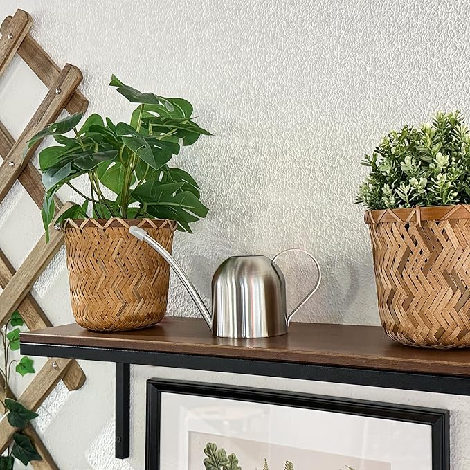 IMEEA Small Watering Can for Indoor Plants Stainless Steel Bonsai Watering can Mini Metal (15oz/450ml)