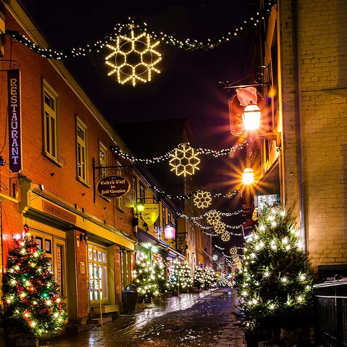 DBFAIRY 24-inch LED Christmas Snowflake Window Lights, Large Outdoor Hanging Silhouette Xmas Decor Light with Timer 16.8ft Plug-Powered Cable