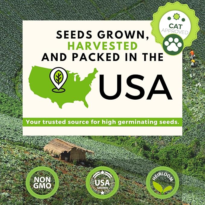 HOME GROWN Cat Grass Seed Mix – Non-GMO Oat, Alfalfa, Rye & Wheat Seeds for Cats | Indoor Pet Grass with Fast Germination | Digestive Aid, Hairball Relief & Safe Chew Alternative