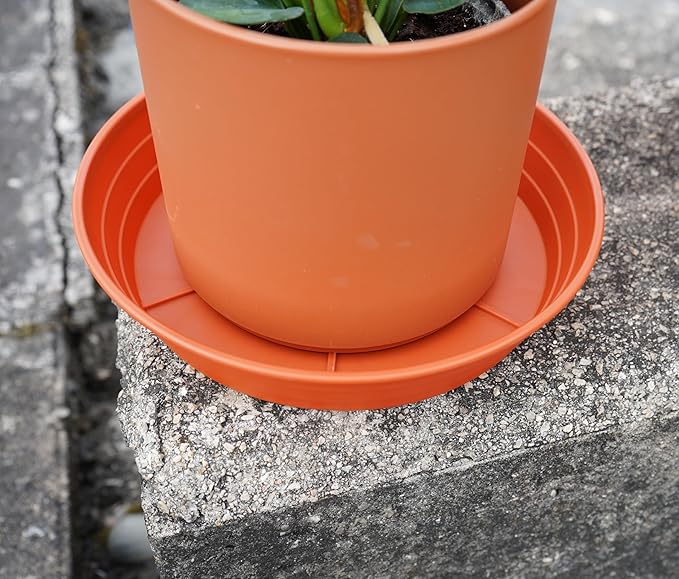Plant Saucer 14 Inch 2 Pack 6 8 10 12 14 16 18 20 25, Plastic Plant Trays for Pots，Extra-Deep Plant Water Dray Tray, Bird Bath Bowl, Heavy Flower Plant Saucers Indoors and Outdoor No Holes