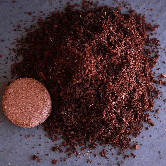 Minute Soil - Compressed Coco Coir Fiber Grow Medium - 40 MM Wafers - Bag of 30 = 5.5 Quarts of Potting Soil - Indoor Container Gardening: Seed Starts, Wheatgrass, More - Just Add Water - OMRI Organic
