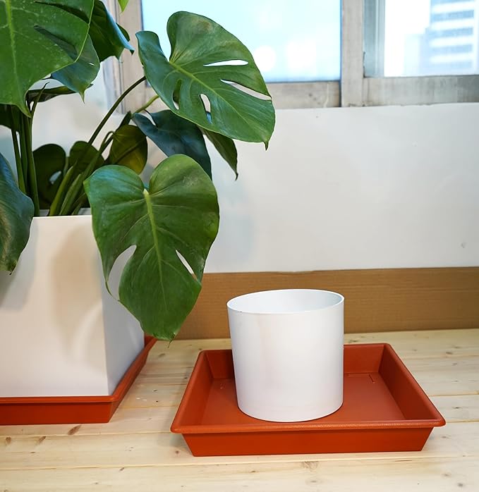 Square Plant Saucer 16 Inch 2 Pack, Plant Stand Plant Trays for Pots Heavy Duty Plastic Plant Saucers for Indoors Outdoors, Flower Pot No Holes Terracotta Plant Lover Gardening Gifts