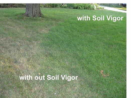 1 Pound Soilmoisture Trap Potassium Super Absorbent Hydro Gel Granules Polymer; Soil Vigor