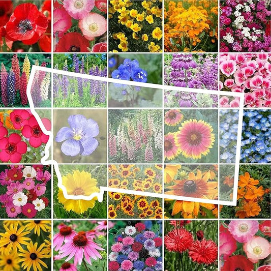 Eden Brothers Montana Wildflower Mixed Seeds for Planting, 1 lb, 480,000+ Seeds with Foxglove, Bluebell | Attracts Pollinators, Plant in Spring or Fall, Zones