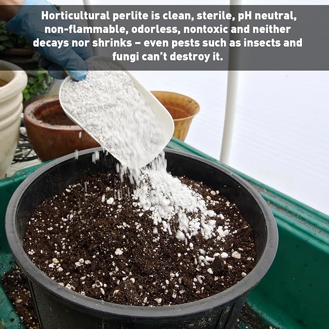 Norcal Perlite Horticultural Perlite Organic Certified Premium Screened Coarse – Garden Indoor Outdoor Plants – Soil Additive Better Aeration and Drainage - 2 Cubic Feet (62 Quarts) 1 Bag