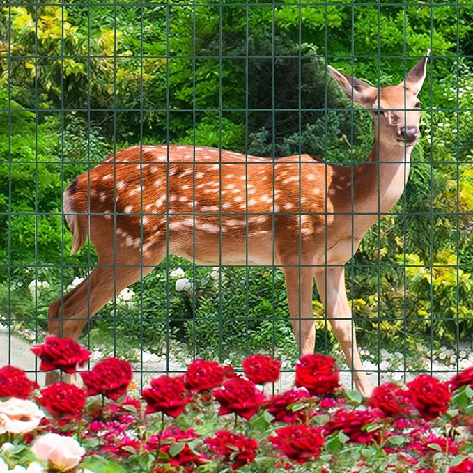 Green PVC Coated Welded Wire Fence 36 Inch x 50 Foot, 2 Inch x 4 Inch 14GA, Garden Border Fencing Roll Vinyl Coating Metal Wire Mesh Hardware Cloth for Yard Vegetable Plant Protection