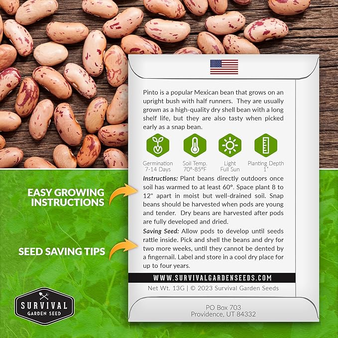 1 Pack Pinto Bean Seeds for Planting with Instructions for Growing Mottled/Peruano Beans in The Home Vegetable Garden - Non-GMO Open-Pollinated Heirloom & Untreated Seed - Survival Garden Seeds