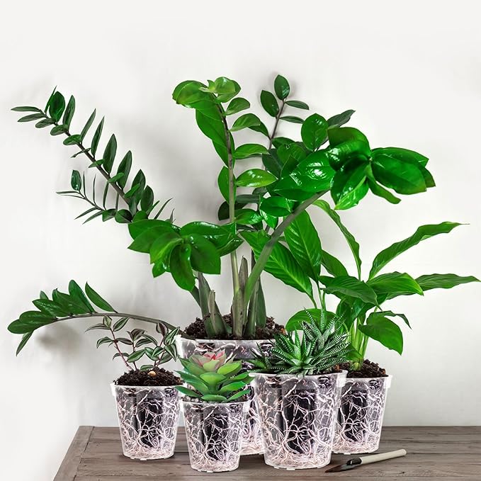 Vesici Large Size Clear Nursery Pots Variety Pack Plant Pots with Drainage Holes Planters for Indoor Plants Flexible Transparent Plastic Plant Bottle Succulents(6 Pcs,4/5/6/7/8/9 Inch)