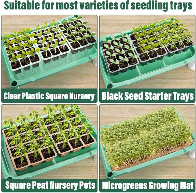 5-Tier Seed Stand with 5 Trays, Seed Starting Rack Propagation Rack Kit for Stackable Seedling Tray Seedling Staging Table for Indoor Outdoor Growing (H:37.6", W: 11.6”, L: 18.1") (Green)