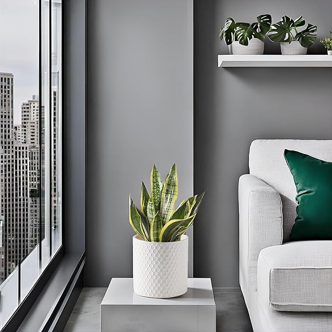 Docrin Ceramic Planters Indoor: 8 Inch Plant Pot with Drainage Holes for Home/Office - White Honeycomb