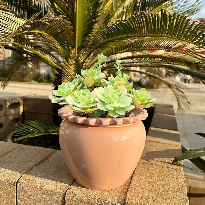 Self Watering African Violet Flower Pot - Pink Ceramic Pot Maintenance, Indoor Plant Self Watering Seeder - 6.5 * 4.6 Inch High Absorption Plant Inner Flower Pot