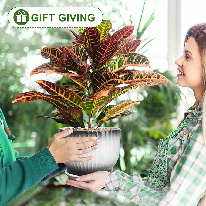 6.7 + 5.5 Inch Plant Pot, Ceramic Planter with Drainage and Saucer, Ceramic Pots for Plants, Indoor Plant pots,Ceramic Flower pots（Black + White, Plants NOT Included）