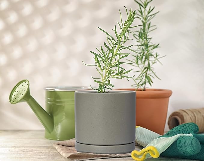 D'vine Dev Ceramic Planter Pot with Drainage Hole and Saucer, Indoor Cylinder Round Flower Pot, 4.6 Inch, Grey, 94-O-B-3