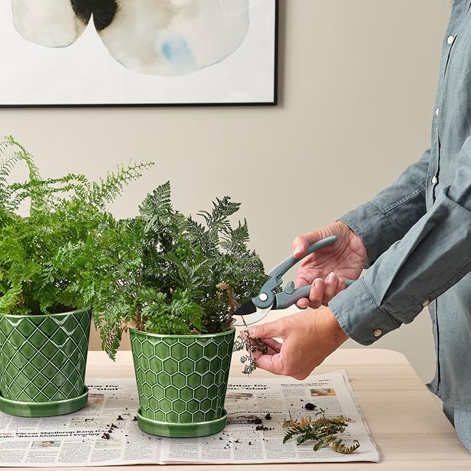 BUYMAX Plant Pots Indoor –6 inch Ceramic Flower Pot with Drainage Hole and Ceramic Tray - Gardening Home Desktop Office Windowsill Decoration Gift, Set of 2(Patina)