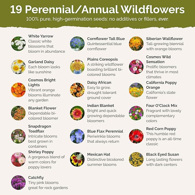 Eden Brothers Arizona Wildflower Mixed Seeds for Planting, 1 lb, 480,000+ Seeds with Yarrow, Cosmos, Indian Blanket | Attracts Pollinators, Plant in Spring or Fall, Zones