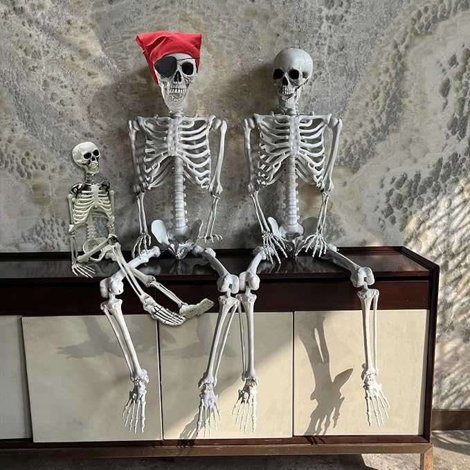 5.4ft/165cm Halloween Skeleton - Life Size Skeleton Full Body Realistic Human Bones with Posable Joints for Halloween Pose Skeleton Prop Decoration (5.4Ft&3Ft)