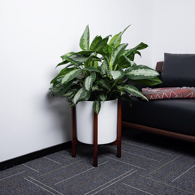 D'vine Dev Planter Pot with Stand - 12 Inch Plastic Cylinder Flower Pot with Wood Planter Holder for Indoor, Matte White Pot + Mahogany Stand, 55-C-O-1