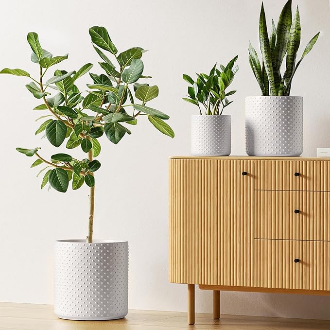 LE TAUCI 6+8+10 Inch Plant Pots Indoor, Ceramic Planter Pots for Plants, Raised Dots Flower Pots Indoor for Home and Office, Mid-Modern Century Pots Indoor with Drainage Hole and Silicone Plug, White