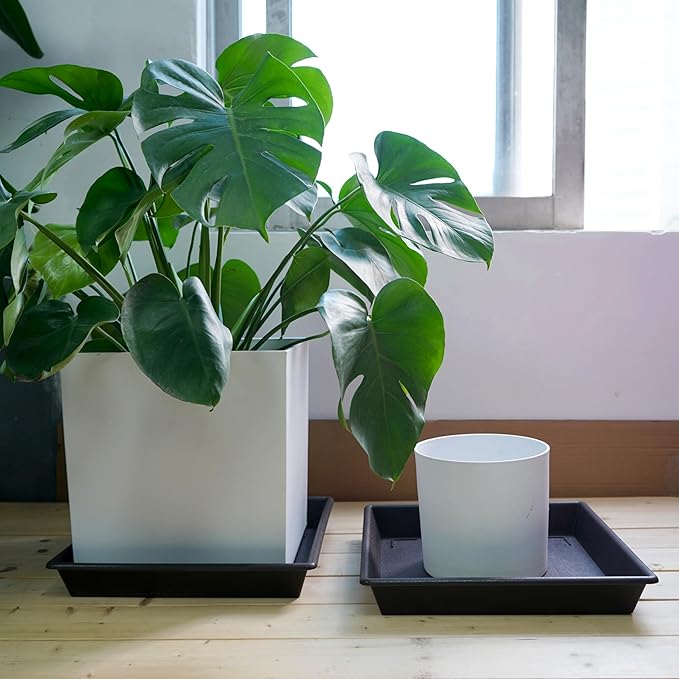 Square Plant Saucer 16 Inch 2 Pack, Plant Stand Plant Trays for Pots Heavy Duty Plastic Plant Saucers for Indoors Outdoors, Flower Pot No Holes Plant Lover Gardening Gifts