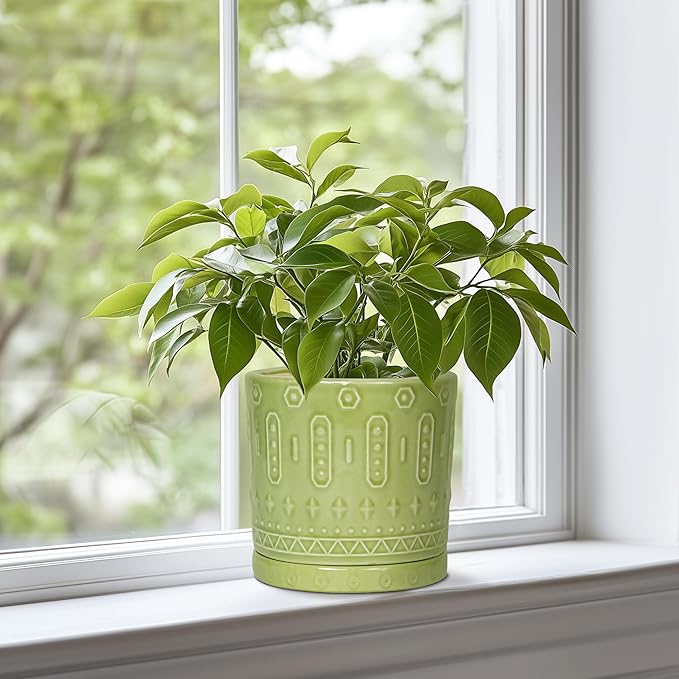 Ceramic Pot for Plants - 6 Inch Indoor Planter with Drainage Hole and Saucer, Round Decorative Flower Pots Outdoor, Boho Succulent Planter, Garden Home Decor, Gifts for Plant Lover, Green