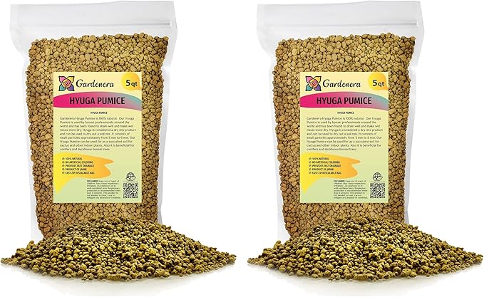 Japanese Hyuga Pumice - 10 Quart - Premium Additive for Orchid & Bonsai Tree Soil |Professional Imported Sifted and Ready to Use (2 Bags of 5 Quart)
