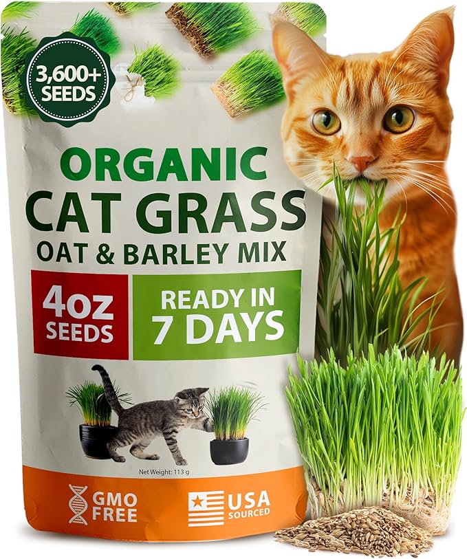 HOME GROWN Organic Cat-Grass Seed Mix (Oat & Barley) – 4 oz – Easy Indoor Planter