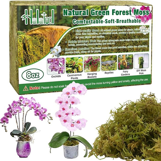 Halatool 8OZ Green Forest Moss- 12QT Natural Sphagnum Moss for Plants Fluffy Orchid Moss for Orchids Repotting Dried Plant Moss for Potted Plants Indoor & Outdoor