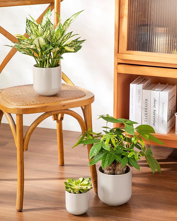 vancasso Ceramic Plant Pots, 4+5+6 inches, Set of 3, Planters with Drainage Hole, Flower Pots Planters Pots for Indoor Plants, Modern Indoor Decorative Garden Pot, Home Decor, Gray