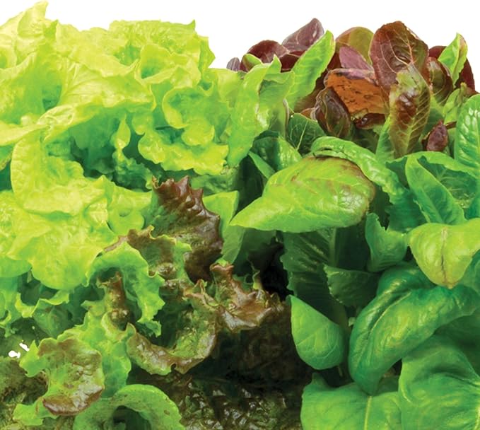 Miracle-Gro AeroGarden Indoor Gardening Seed Pod Kit, white