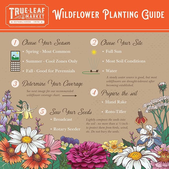 Wildflower Seeds Bulk, 2 Oz. 80,000+ Seeds, Rocky Mountain Wildflower Seeds, 18 Non-GMO Varieties of Rocky Mountain Flower Seeds - Rocky Mountain Seed Mix for Planting - Pollinator Wildflower Seeds