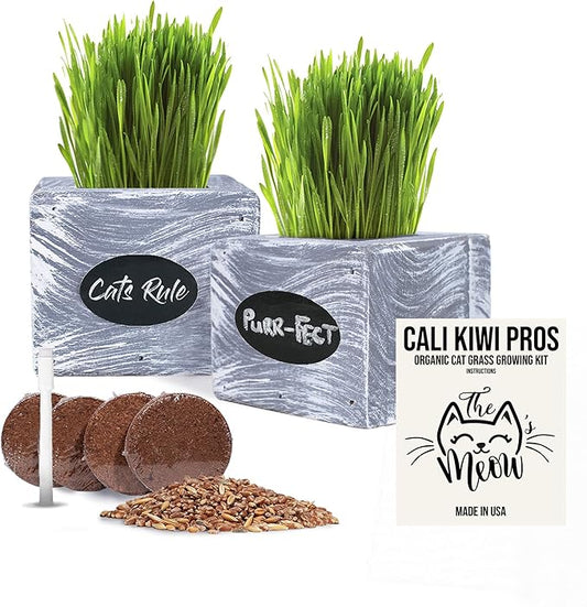 Cat Grass for Indoor Cats Kit – Best Value Organic Seed & Soil for 3 Growing Cycles, Natural Hairball Remedy & Cat Gifts (White Wash)